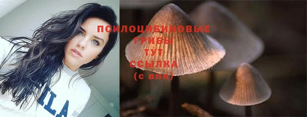 соль ск Иннополис