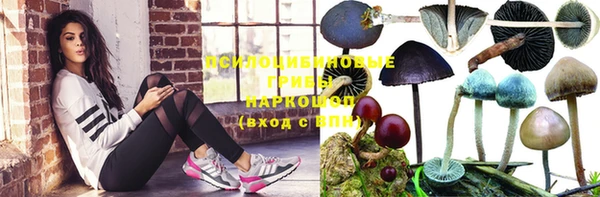 соль ск Иннополис