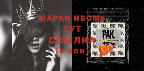 хмурый Инта