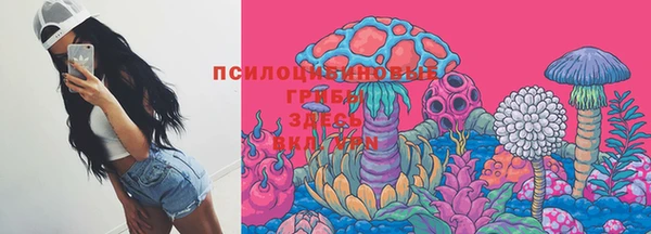 винт Каменногорск