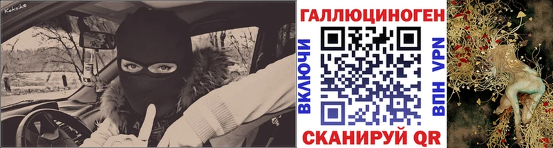 Псилоцибиновые грибы Psilocybe  Купить где  Дорогобуж 