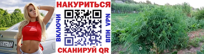 Купить  Дорогобуж  Бошки Шишки AK-47 
